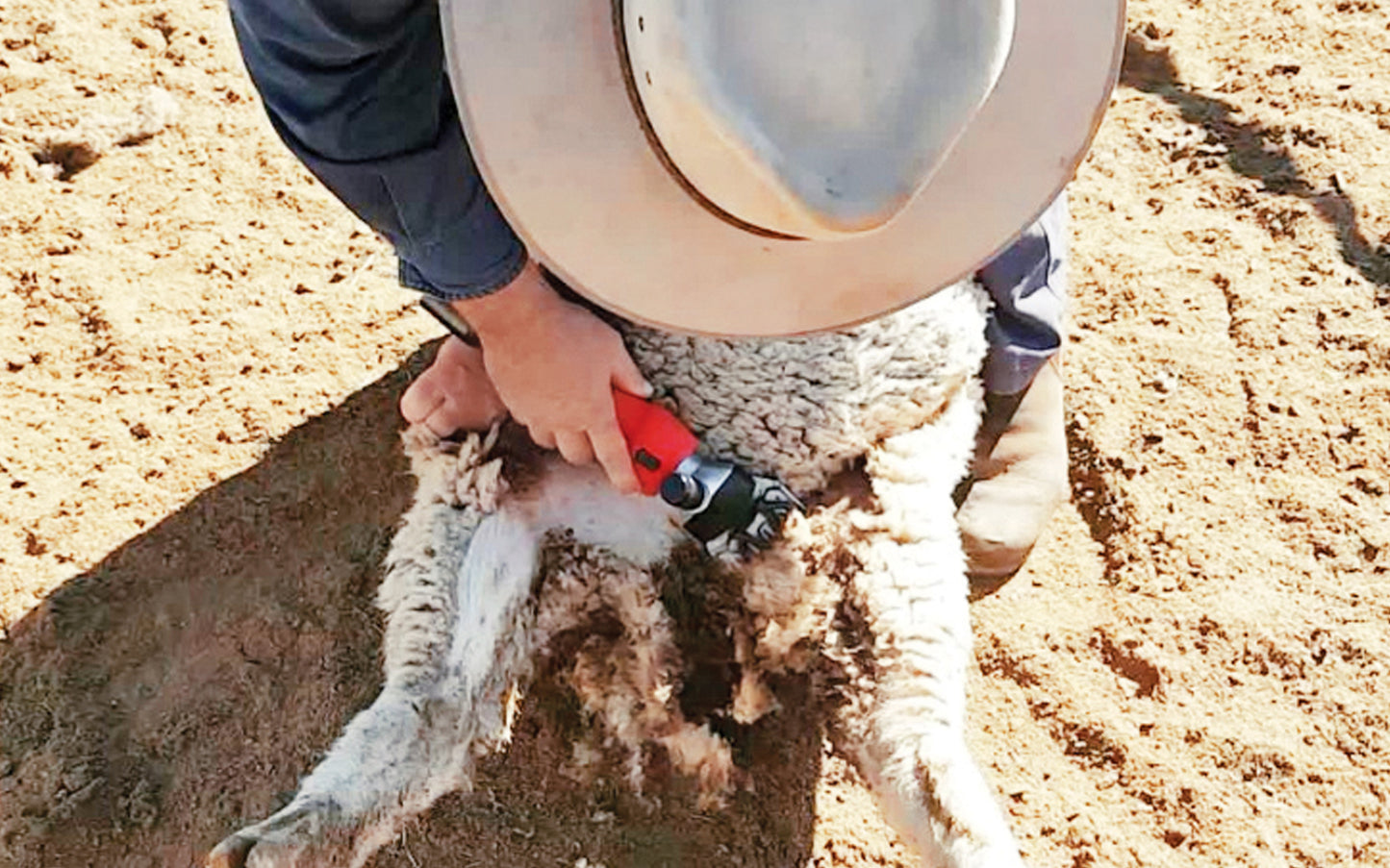 100% Cordless Sheep Crutching Bundle