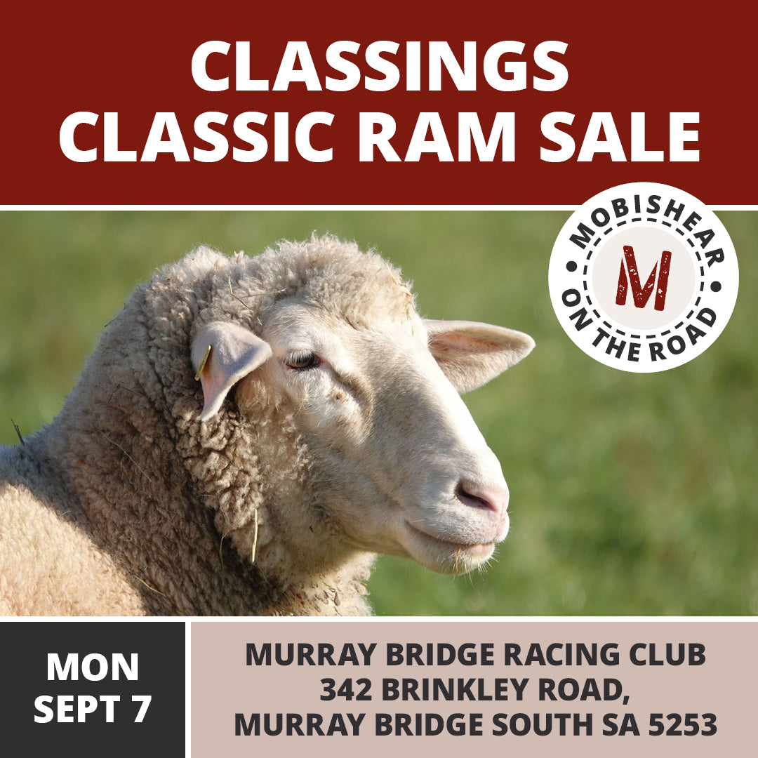 Classings Classic Ram Sale