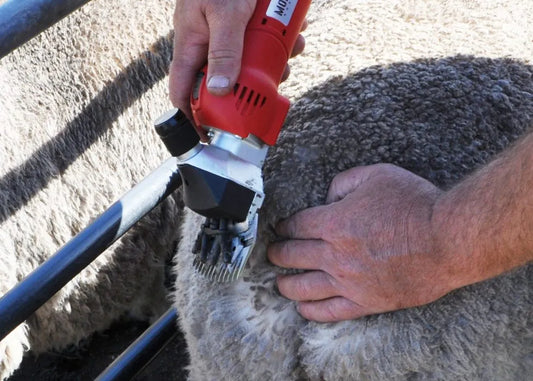 What is the Best Blade for Crutching Sheep?