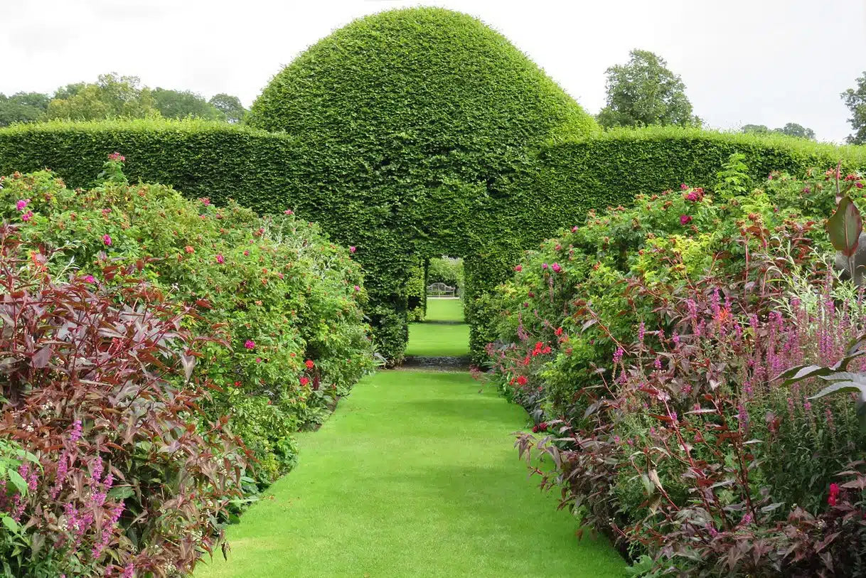 Gardening