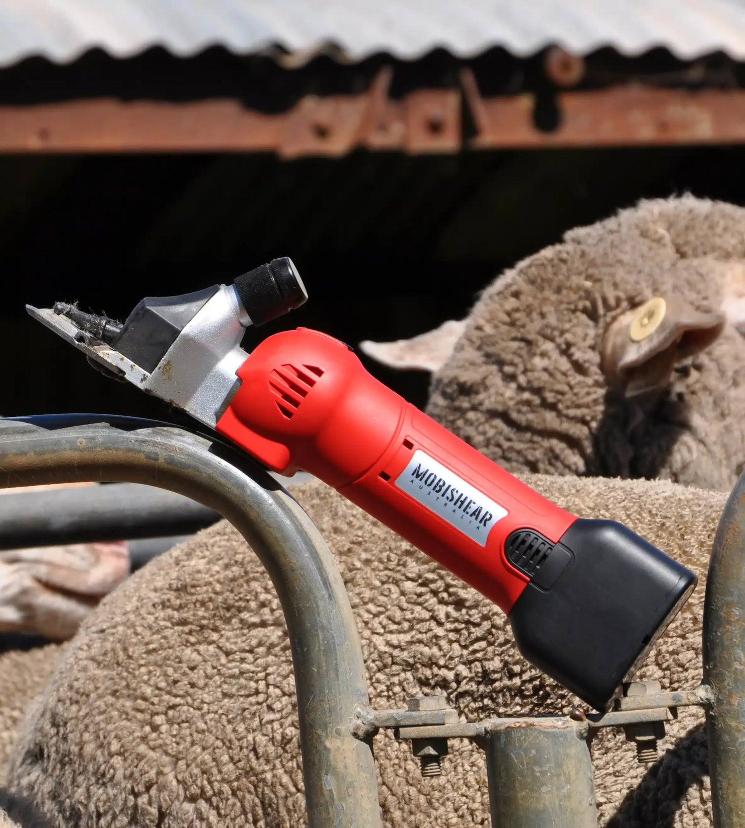 Shearing