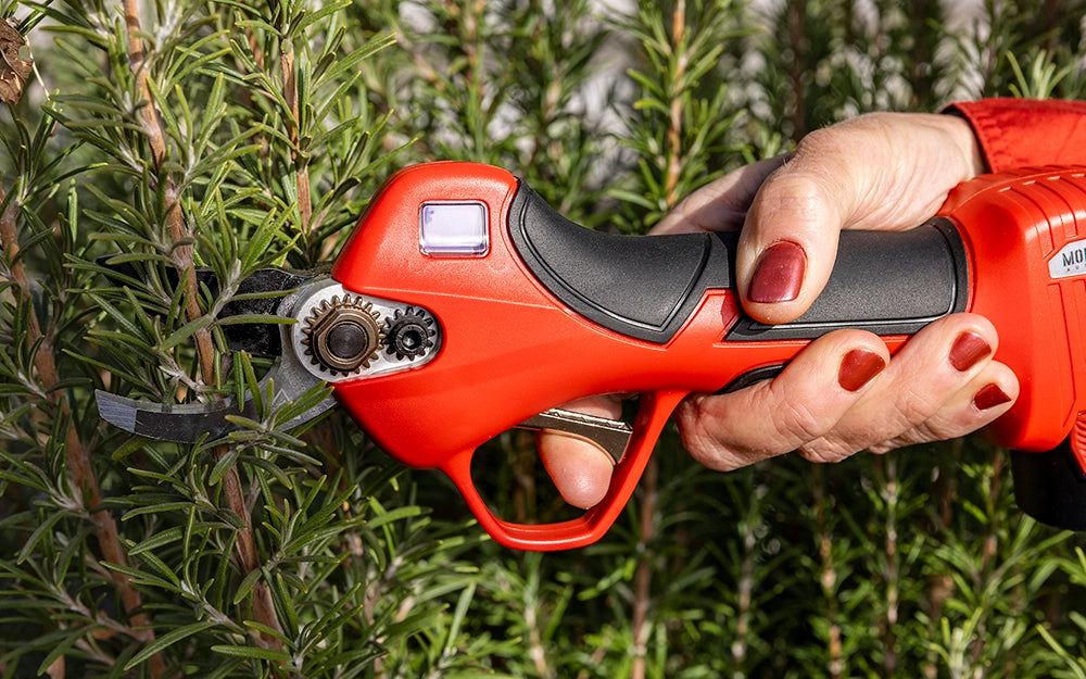 100% Cordless 12V Secateur