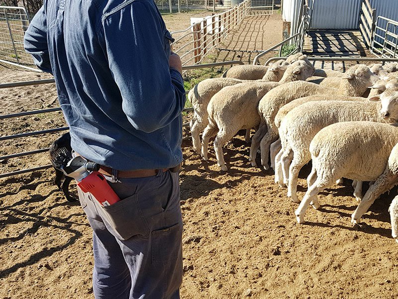 buy mobishear online