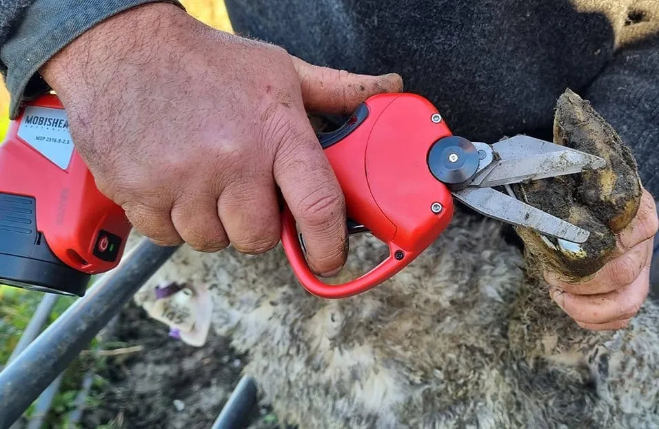 100% Cordless 25mm Foot Paring Secateur