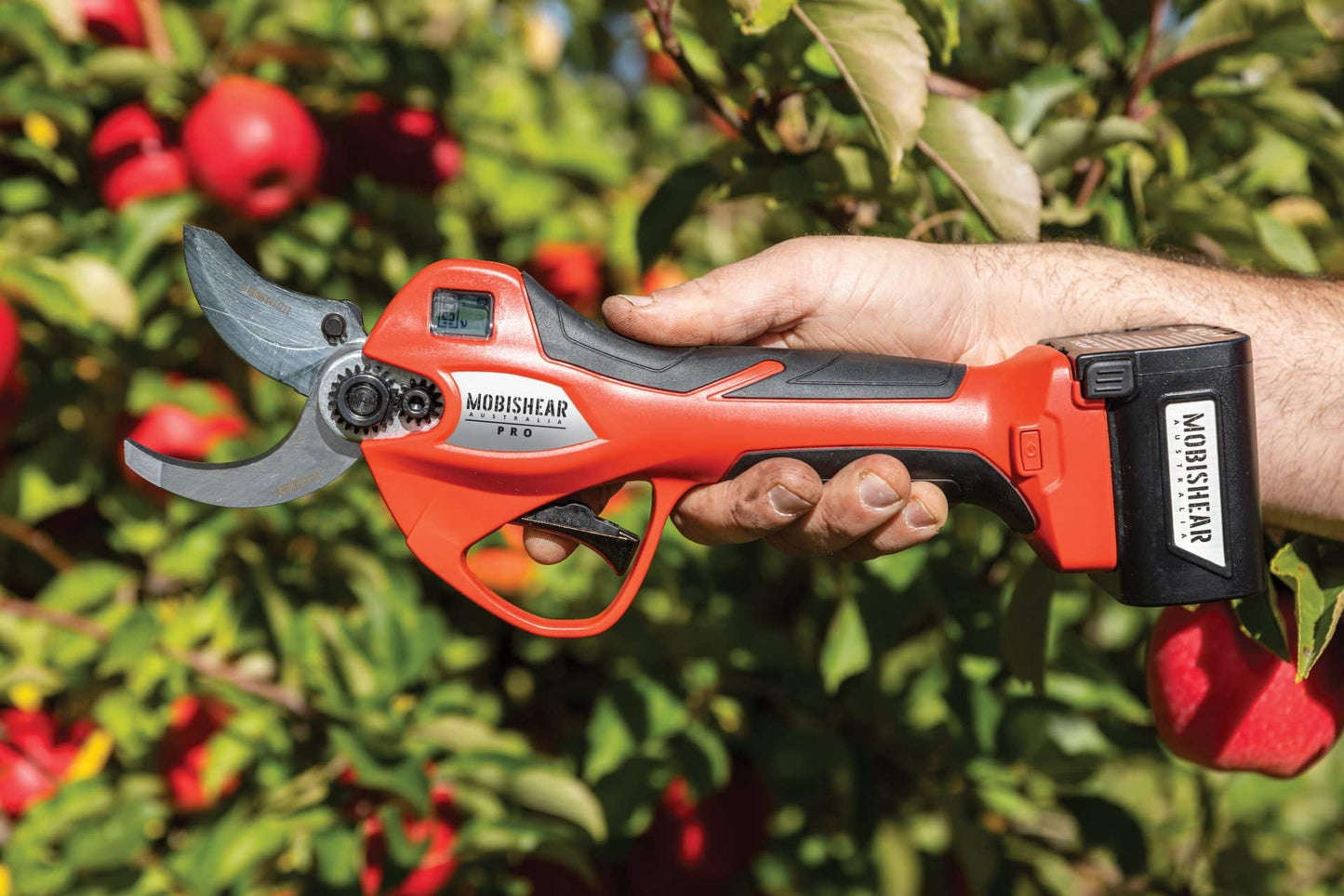 100% Cordless 37mm Pro Secateur