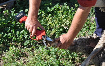 100% Cordless 37mm Pro Foot Paring Secateur