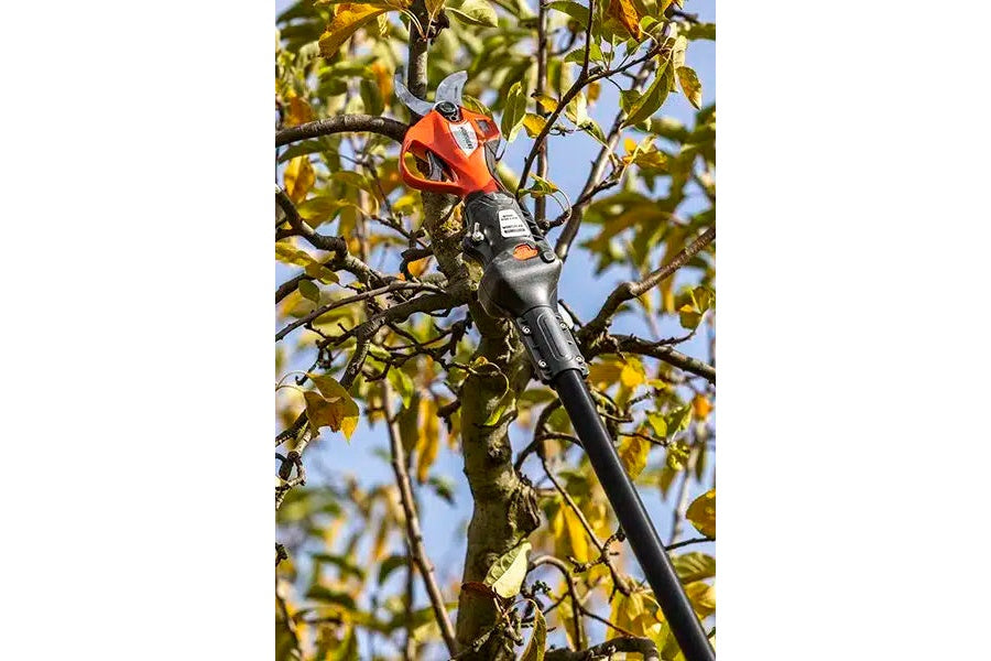 100% Cordless 37mm Pro Secateur & Telescopic Extension Pole Combo