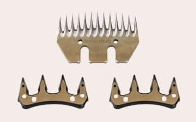 shearing comb and cutter set