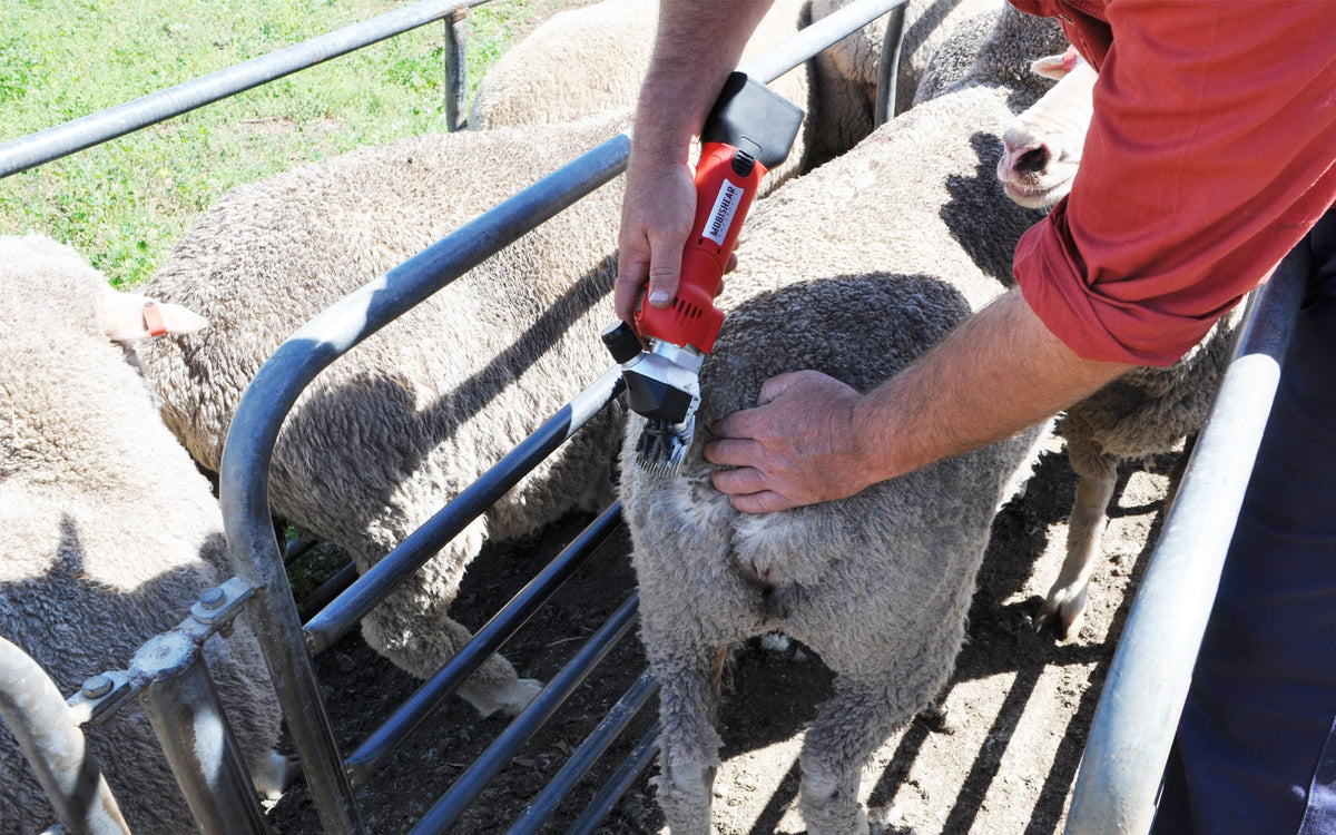 100% Cordless Sheep Shearing Handpiece