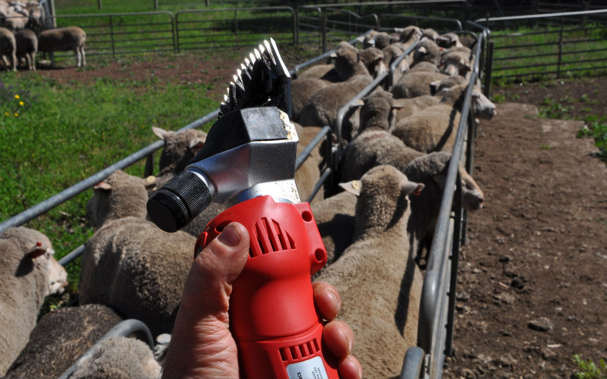 100% Cordless Sheep Shearing Handpiece