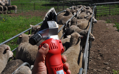100% Cordless Sheep Shearing Handpiece
