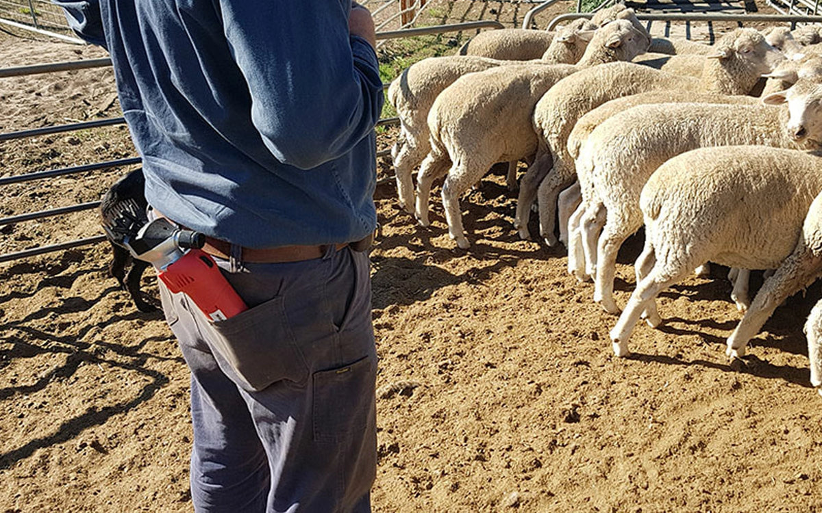 100% Cordless Sheep Shearing Handpiece