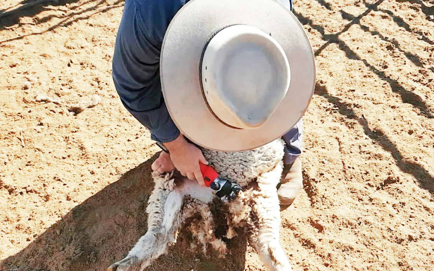 100% Cordless Sheep Crutching Bundle