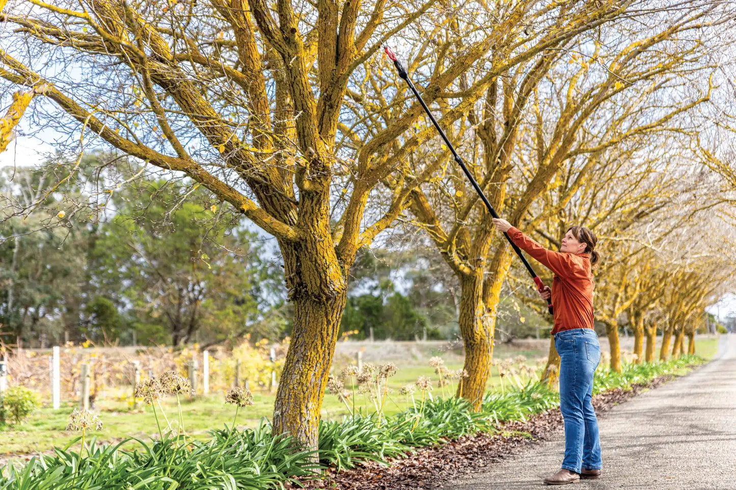 100% Cordless 37mm Secateur Telescopic Extension Pole