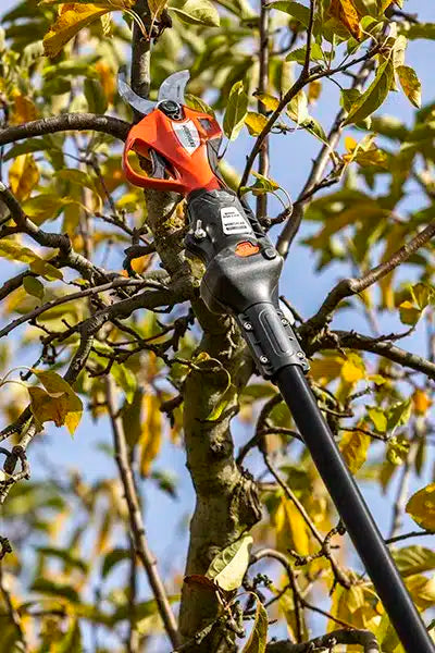 100% Cordless 37mm Secateur Telescopic Extension Pole